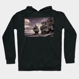 Hopewell Rocks Hoodie